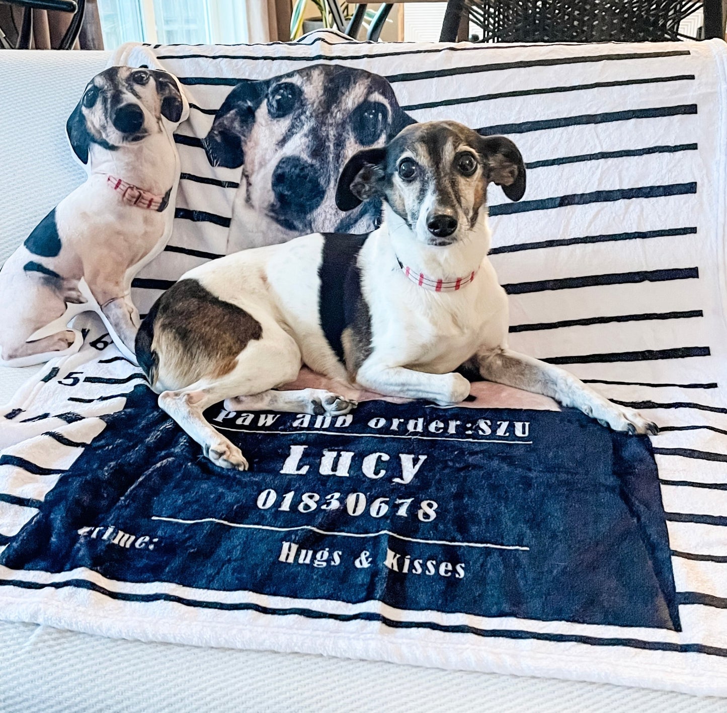 Customizable Pet Photo Blanket "Paw & Order" - Customizable Love