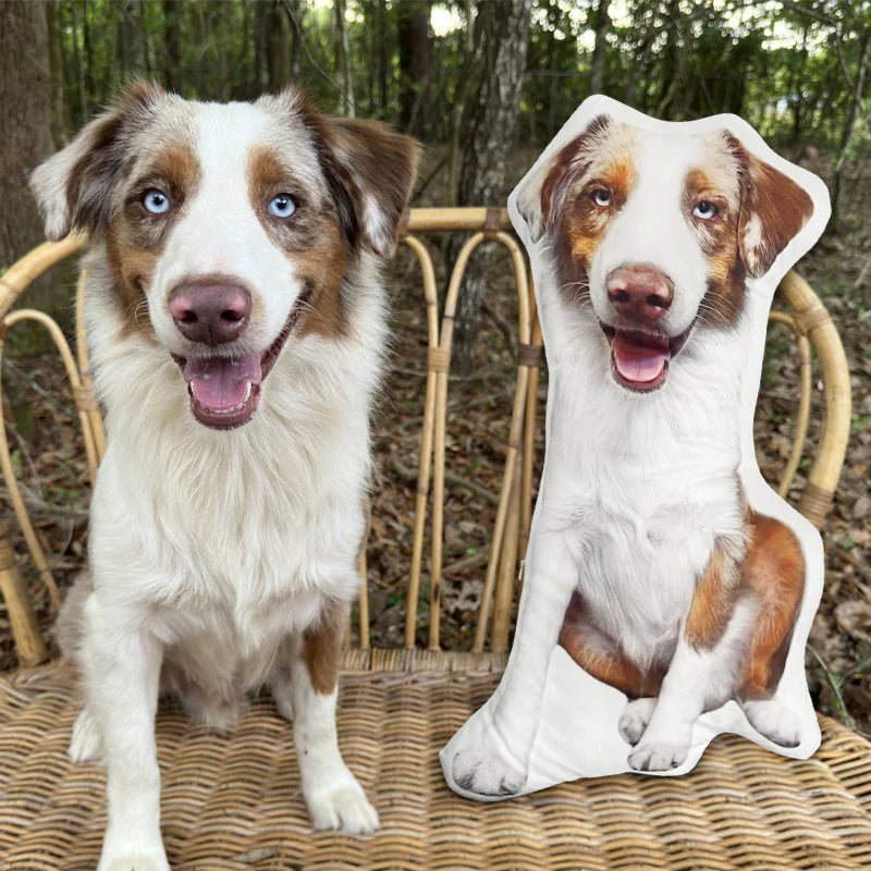 Customizable 3D Photo Pet pillow - Customizable Love